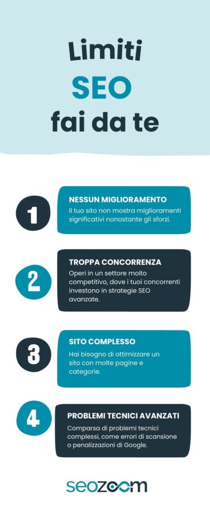 infografica limiti seo fai da te